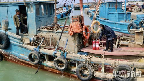 城阳679艘渔船集中 体检 保障渔民生产安全