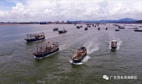 广东十佳最美渔港 评选结果出炉,茂名博贺渔港实力上榜